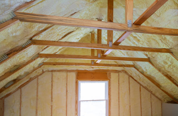 Types of Insulation We Offer in Whitney, NV