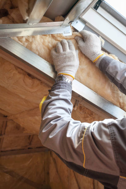 Best Commercial Insulation in Whitney, NV