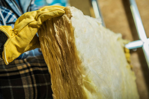 Best Insulation for Specific Applications in Whitney, NV