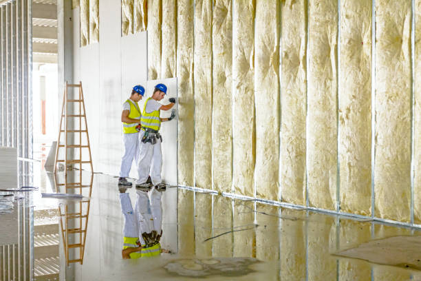 Best Eco-Friendly Insulation in Whitney, NV